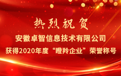 熱烈祝賀安徽卓智信息技(jì)術有(yǒu)限公司獲得2020年(nián)度“瞪羚企業(yè)”榮譽稱号